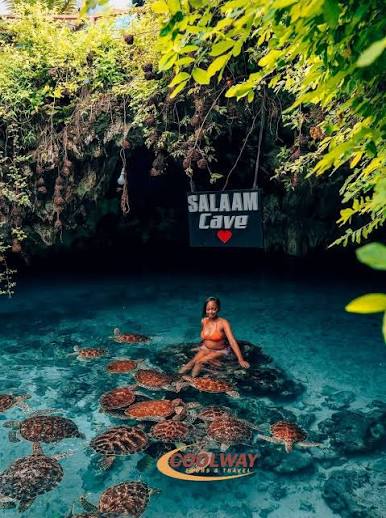 Jozani Forest & Salaam Cave